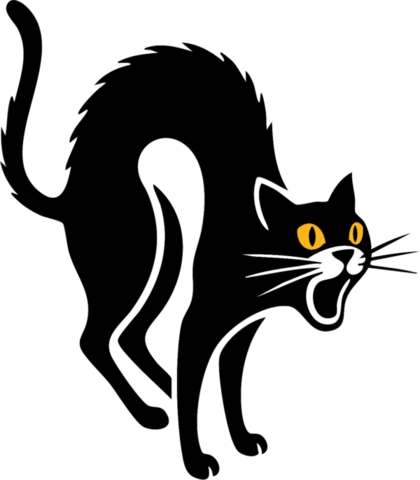 Gato negro, símbolo deportivo del colegio