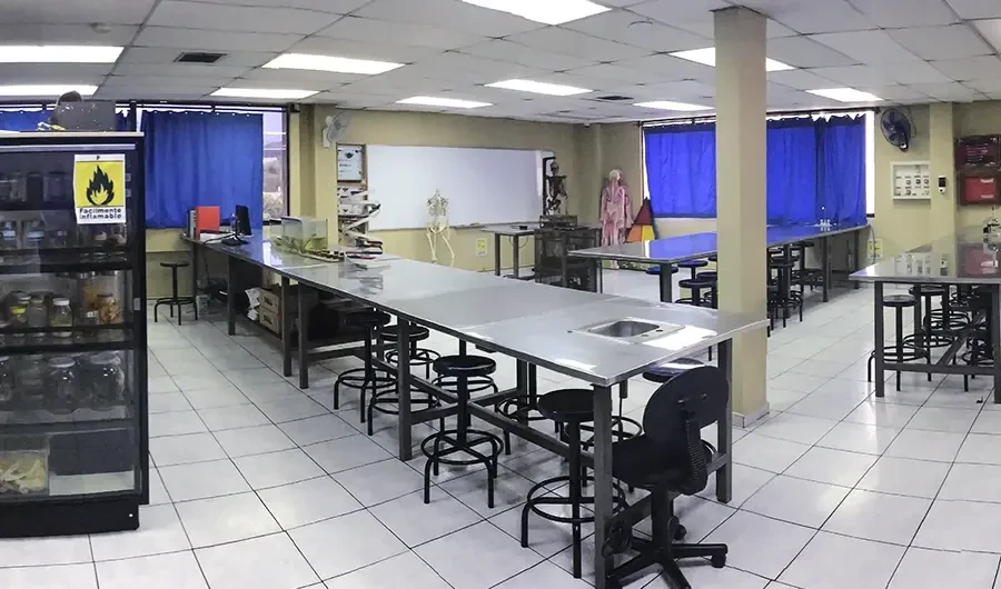 Laboratorio de ciencias con mesas de acero y modelos anatómicos
